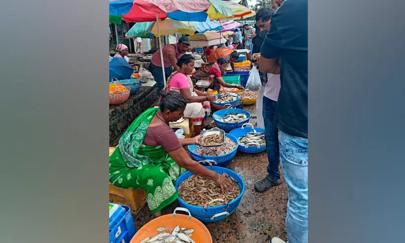 ട്രോളിങ് നിരോധനം അവസാനിച്ചു; മത്സ്യവിപണി ഉണർന്നു