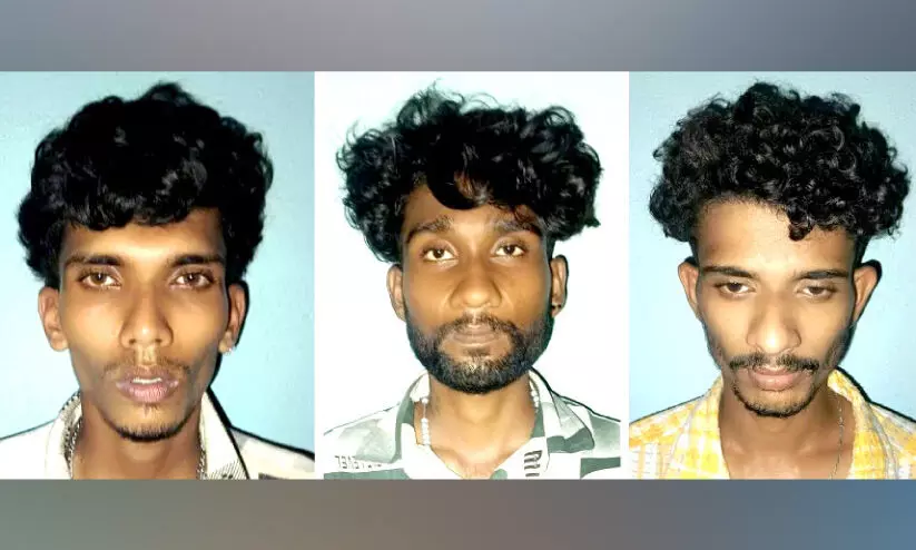 എം.ഡി.എം.എയുമായി മൂന്നുപേർ പിടിയിൽ