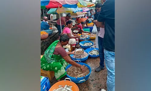 ട്രോളിങ് നിരോധനം അവസാനിച്ചു; മത്സ്യവിപണി ഉണർന്നു