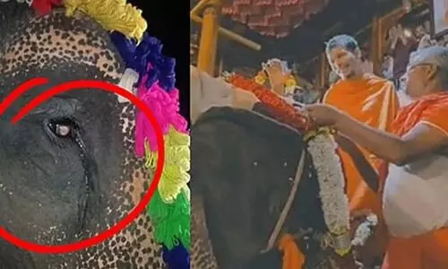 ‘ജിയോ ബഹിഷ്‍കരിക്കുക’..തങ്ങളുടെ ആനയെ അംബാനിയുടെ മകന്റെ ​‘വൻതാര’യിലേക്ക് കൊണ്ടുപോകുന്നതിനെതിരെ പ്രതിഷേധവുമായി ഗ്രാമവാസികൾ