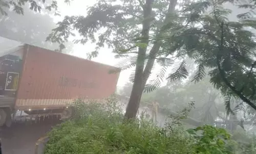 വയനാട് ചുരത്തിൽ ലോറി കുടുങ്ങി ഗതാഗതം തടസപ്പെട്ടു, വാഹനങ്ങളുടെ നീണ്ടനിര