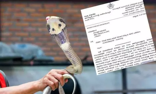 ഇനി അധ്യാപകരും പാമ്പുപിടിക്കും; വനംവകുപ്പ് പരിശീലനം നൽകും, ആദ്യം പാലക്കാട്ട്