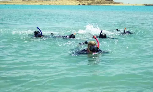 മി​ഡി​ലീ​സ്​​റ്റി​ൽ സൗ​ദി വ​നി​താ സ​മു​ദ്ര പ​രി​സ്ഥി​തി പ​രി​ശോ​ധ​ക​രു​ടെ ആ​ദ്യ സം​ഘ​ത്തെ നി​യ​മി​ച്ചു