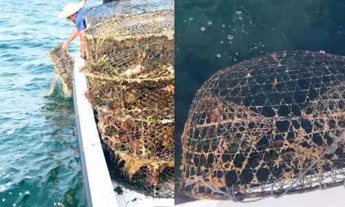 നി​യ​മ​വി​രു​ദ്ധ മ​ത്സ്യ​ബ​ന്ധ​ന ഉ​പ​ക​ര​ണ​ങ്ങ​ൾ പി​ടി​കൂ​ടി