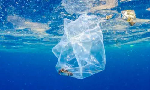 സ​മു​ദ്ര​വി​ഭ​വ​ങ്ങ​ൾ ഭാ​വി​ത​ല​മു​റ​ക്കു​വേ​ണ്ടി സം​ര​ക്ഷി​ക്ക​ണം