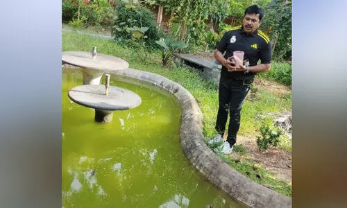 MR India Muhammadali