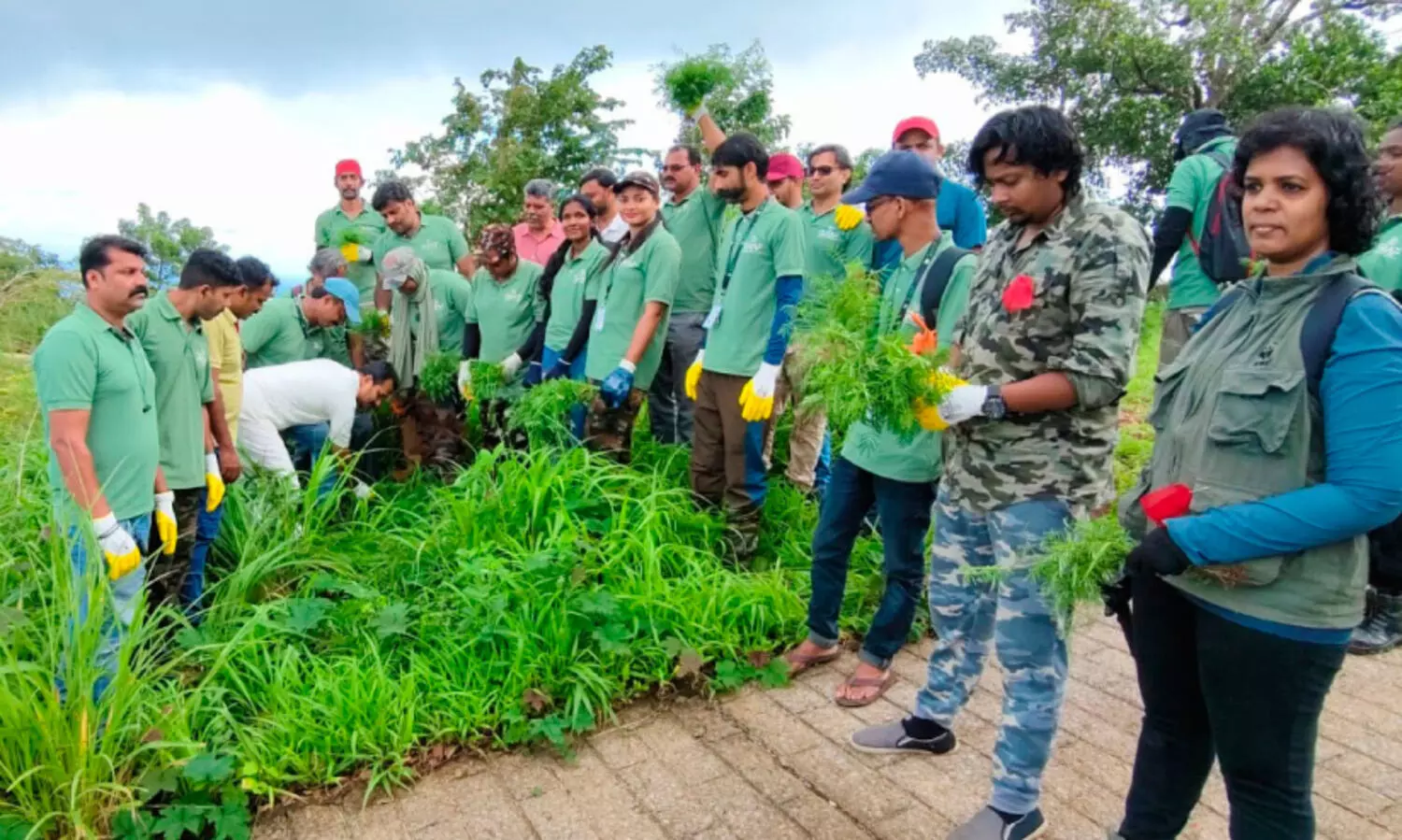 ആ​ന​യെ മാ​ത്ര​മ​ല്ല,  ആ​ന​ത്തൊ​ട്ടാ​വാ​ടി​യെ​യും പേടിക്കണം