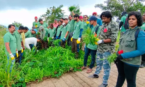 ആ​ന​യെ മാ​ത്ര​മ​ല്ല,  ആ​ന​ത്തൊ​ട്ടാ​വാ​ടി​യെ​യും പേടിക്കണം