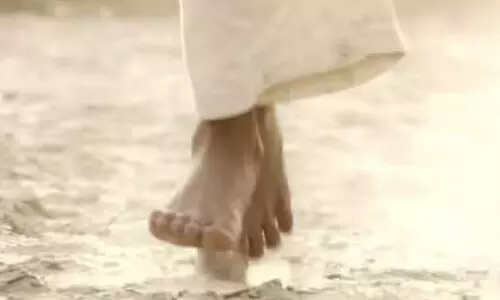 നിർമാണം 41 കോടിക്ക്, 55 അവാർഡുകൾ; നടി പ്രതിഫലമായി വാങ്ങിയത് 11 രൂപ! ഇതാണാ സിനിമ...