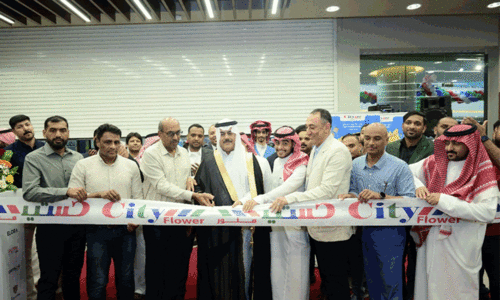 city flower najran hypermarket