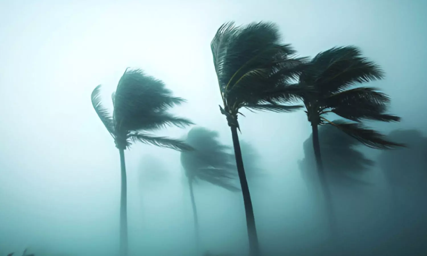 കാറ്റിന്​ സാധ്യത: വേണം കരുതൽ