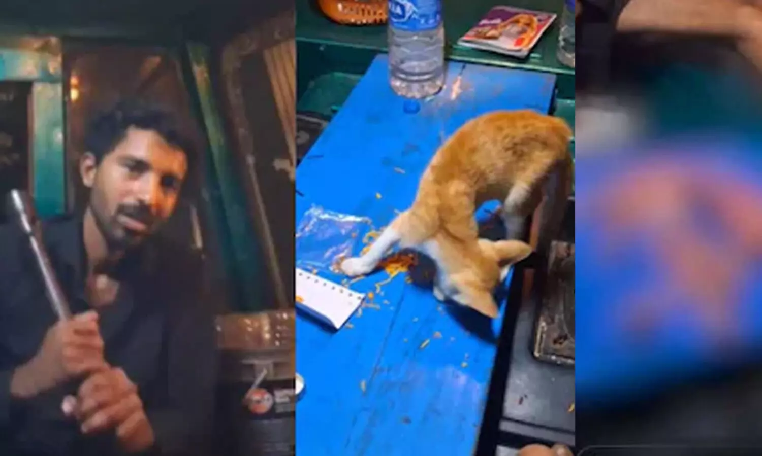 കൊടും ക്രൂരത; പൂച്ചയെ വെട്ടിനുറുക്കി ഇൻസ്റ്റഗ്രാം സ്റ്റോറിയാക്കി യുവാവ്, പൊലീസ് അന്വേഷണം തുടങ്ങി