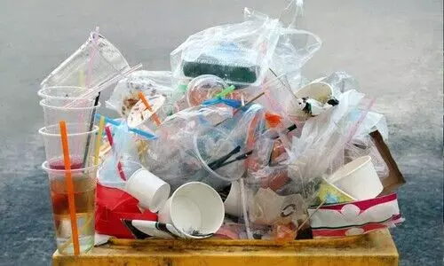 മലയോര വി​നോദസഞ്ചാര കേന്ദ്രങ്ങളിലെ ‘ഒറ്റത്തവണ പ്ലാസ്റ്റിക്’ നിരോധനത്തിന് സ്റ്റേ