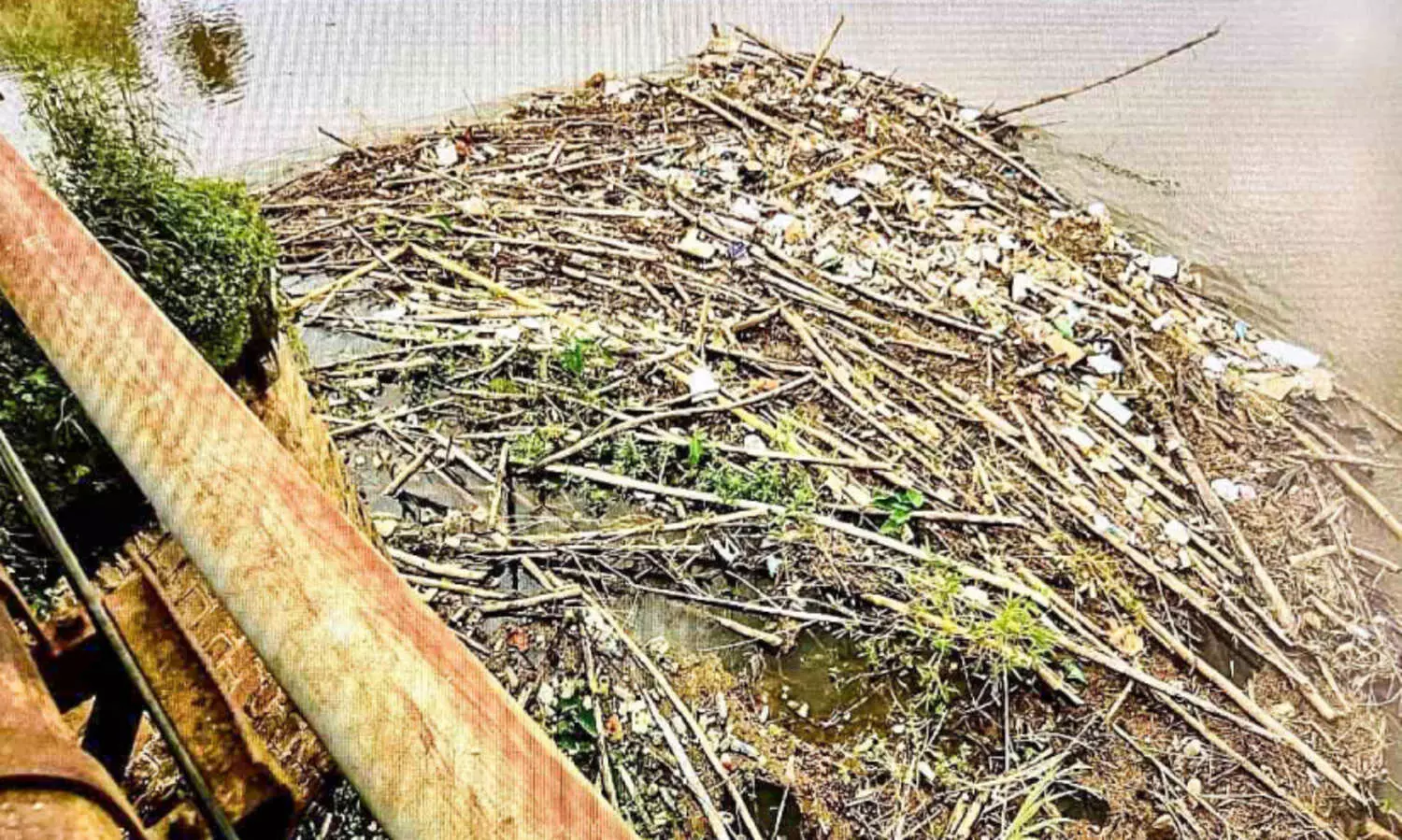 ഒഴുകിയെത്തുന്ന അപകടം; ഭീഷണിയിൽ പാലങ്ങൾ