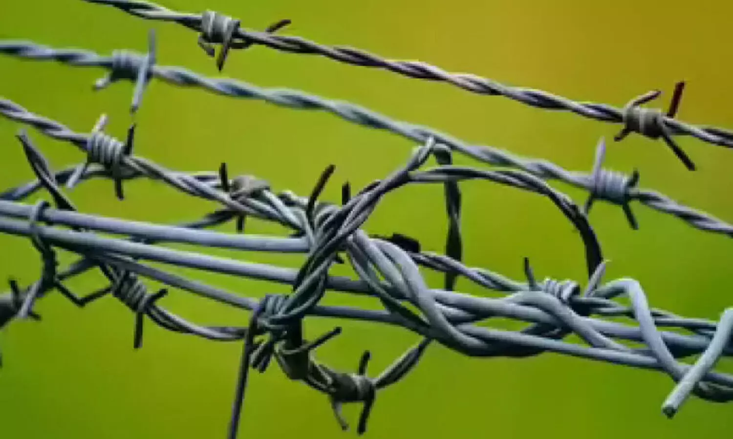 അരുത്... അനധികൃത വൈദ്യുതി വേലി