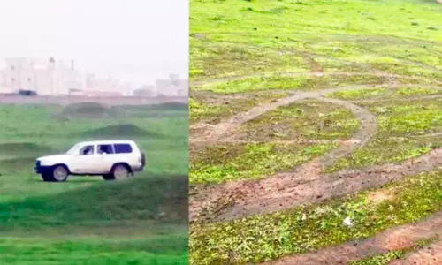 വാ​ഹ​ന​മോ​ടി​ച്ച് സ​ലാ​ല​യി​ലെ പ​ച്ച​പ്പ് ന​ശി​പ്പി​ച്ച ഡ്രൈ​വ​ർ​ക്കെ​തി​രെ ന​ട​പ​ടി