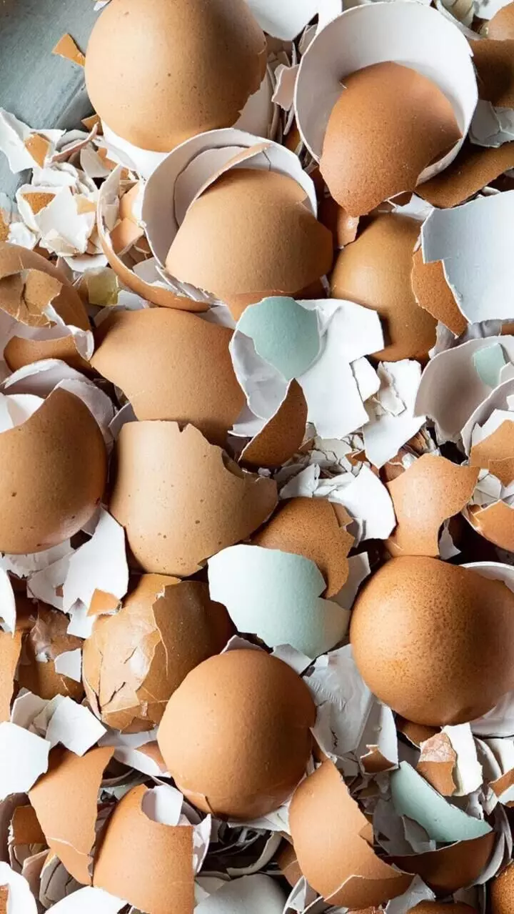 മുട്ടത്തോട് കളയേണ്ട, ഇനി കഴിക്കാം