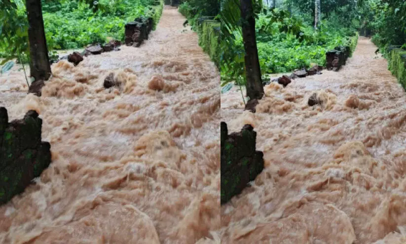 ദേ​ശീ​യ​പാ​ത​യി​ലെ മ​ഴ​വെ​ള്ള​പ്പാ​ച്ചി​ൽ; ദു​രി​തം​പേ​റി ക​ണ്ടം​ചി​റ നി​വാ​സി​ക​ൾ
