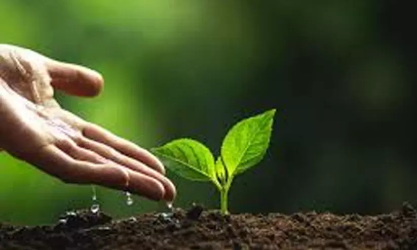 വേരിറങ്ങി 1.18 ലക്ഷം സൗഹൃദത്തണലുകൾ വേരിറങ്ങി 1.18 ലക്ഷം സൗഹൃദത്തണലുകൾ