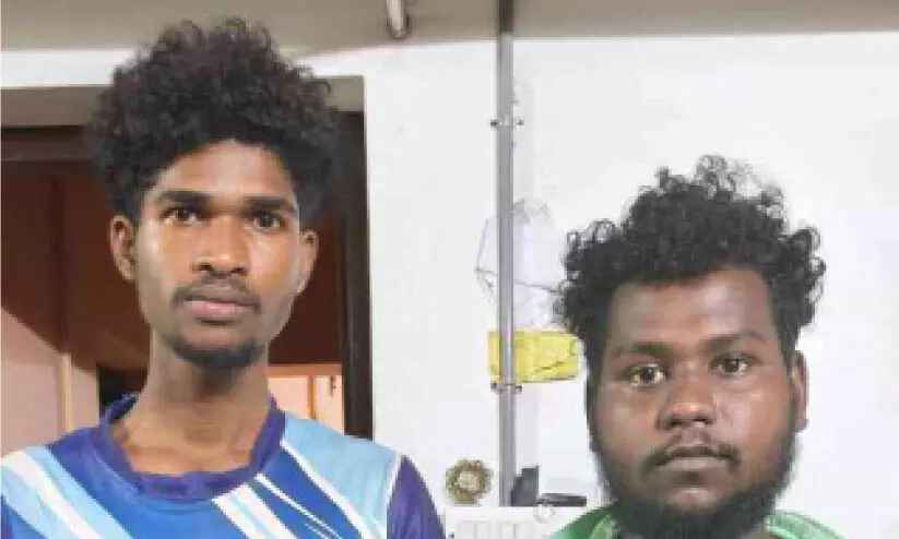 ചന്ദനമരം മുറിച്ചുകടത്താൻ ശ്രമം: രണ്ടുപേർ അറസ്റ്റിൽ ചന്ദനമരം മുറിച്ചുകടത്താൻ ശ്രമം: രണ്ടുപേർ അറസ്റ്റിൽ