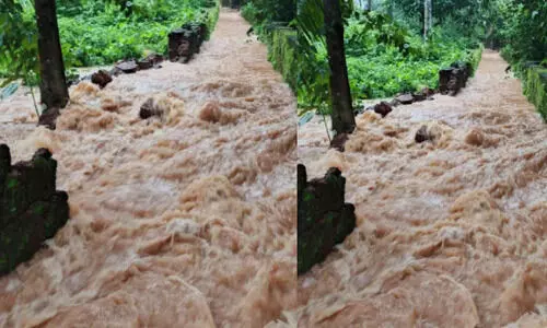 ദേ​ശീ​യ​പാ​ത​യി​ലെ മ​ഴ​വെ​ള്ള​പ്പാ​ച്ചി​ൽ; ദു​രി​തം​പേ​റി ക​ണ്ടം​ചി​റ നി​വാ​സി​ക​ൾ