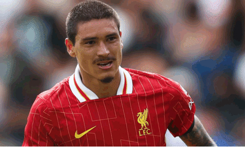 ലിവർപൂൾ മുന്നേറ്റതാരം നൂനസ്  അൽ ഹിലാലിലേക്ക്