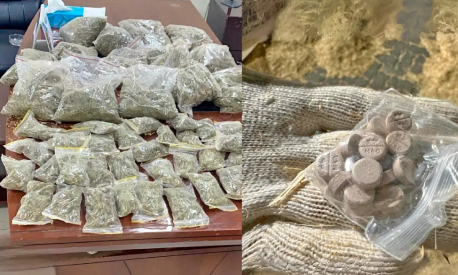 തു​റ​മു​ഖം വ​ഴി ല​ഹ​രി ക​ട​ത്താ​ൻ ശ്ര​മം; ദോ​ഹ തു​റ​മു​ഖ​ത്ത് ല​ഹ​രി ഗു​ളി​ക​ക​ളും കഞ്ചാവും പി​ടി​കൂ​ടി