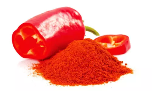 Paprika Farming or Green Chilli