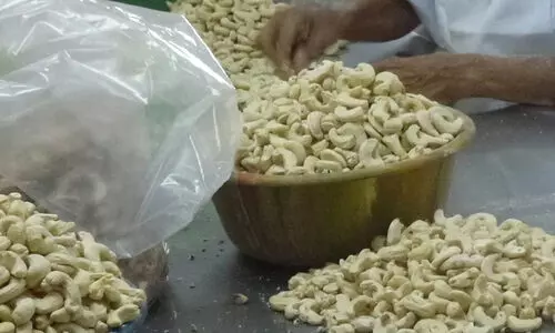 Cashew industry