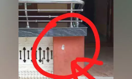 കാട്ടാന വീട്ടുമുറ്റത്ത്; വീട്ടുടമ രക്ഷപ്പെട്ടത് തലനാരിഴക്ക്