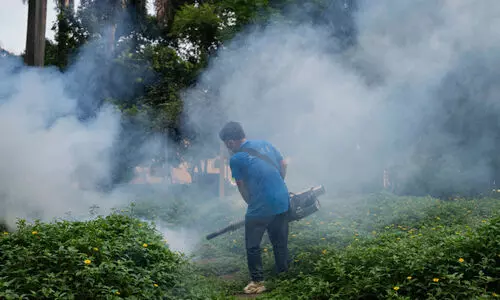 ചൈനയിൽ രാജ്യചരിത്രത്തിലെ എറ്റവും വലിയ ഡെങ്കി; ഫൊഷാനിൽ 7000 പേർക്ക് രോഗം