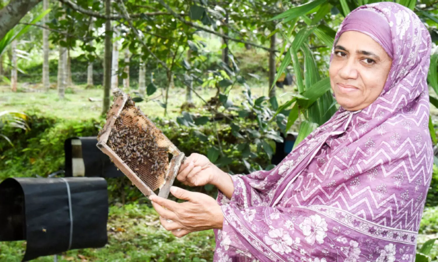 കൃ​ഷി ലാ​ഭ​ക​ര​മാ​ണ്; ദാ, ​ഖ​ദീ​ജ​യു​ടെ കൃ​ഷി​യി​ടം തെ​ളി​വാ​ണ്