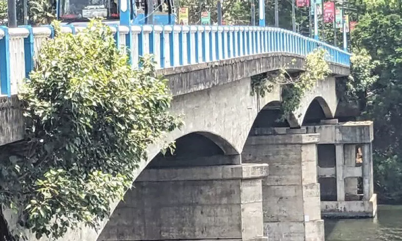 പാലത്തിലെ ആൽമരം: ശിഖരം മാത്രം വെട്ടിമാറ്റി തട്ടിപ്പ് പാലത്തിലെ ആൽമരം: ശിഖരം മാത്രം വെട്ടിമാറ്റി തട്ടിപ്പ്