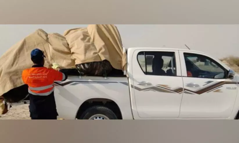 പരിസ്ഥിതി കാലാവസ്ഥ വ്യതിയാന മന്ത്രാലയം ശുചീകരണ കാമ്പയിൻ നടത്തി പരിസ്ഥിതി കാലാവസ്ഥ വ്യതിയാന മന്ത്രാലയം ശുചീകരണ കാമ്പയിൻ നടത്തി