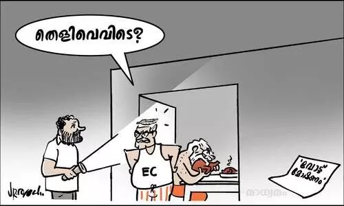 കോഴി കട്ടവന്റെ തലയിൽ...