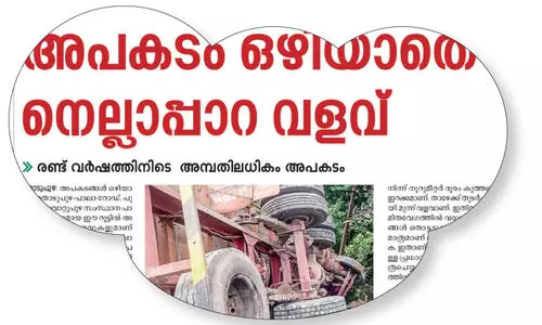 നെല്ലാപ്പാറ വളവ്​; നിര്‍ദേശങ്ങൾ ഫയലില്‍ ഉറങ്ങുന്നു