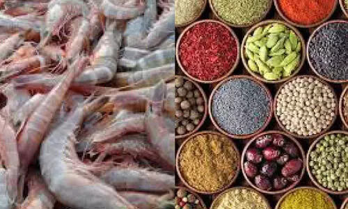 ഇരട്ടിത്തീരുവ കേരളത്തിന്​ ഇരുട്ടടി