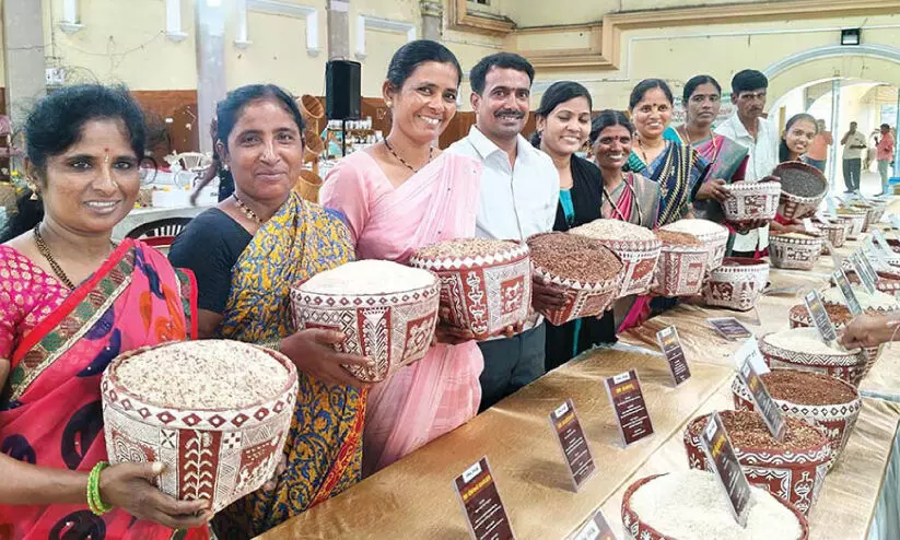 അ​രി​യി​ന​ങ്ങ​ൾ നൂ​റു​ണ്ട്, ദേ​ശി അ​ക്കി മേ​ള​യി​ൽ..