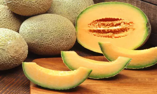 സൗ​ദി​യി​ൽ ഷ​മ്മാം പ​ഴം ഉ​ൽ​പാ​ദ​നം 63,000 ട​ൺ ക​വി​ഞ്ഞു; റി​യാ​ദ്, അ​ൽ ഖ​സീം, മ​ദീ​ന, ഹാ​ഇ​ൽ, ന​ജ്‌​റാ​ൻ എ​ന്നി​വി​ട​ങ്ങ​ളി​ലാ​ണ് കൂ​ടു​ത​ൽ ഉ​ൽ​പാ​ദ​നം