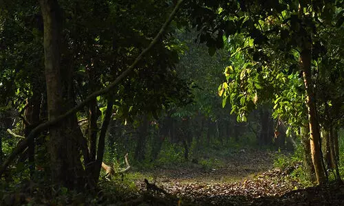 Aralam Farm Aralam Farm