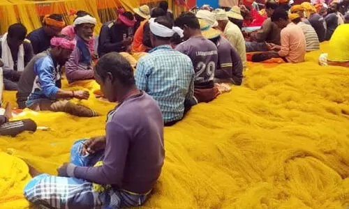 ക​ട​ൽ​മാ​ക്രി​ക​ൾ വ​ല ത​ക​ർ​ക്കു​ന്നു; മ​ത്സ്യ​ത്തൊ​ഴി​ലാ​ളി​ക​ൾ ദു​രി​ത​ത്തി​ൽ