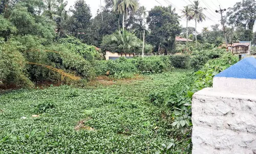നാശത്തിലേക്ക് പെരിങ്ങര തോട്; തോ​ട്ടി​ലെ നീ​രൊ​ഴു​ക്ക് നി​ല​ച്ച അ​വ​സ്ഥ