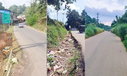 നോക്കാനാളില്ല; അപകടമൊളിപ്പിച്ച് ഗ്രാമീണ-സംസ്ഥാന റോഡുകൾ നോക്കാനാളില്ല; അപകടമൊളിപ്പിച്ച് ഗ്രാമീണ-സംസ്ഥാന റോഡുകൾ