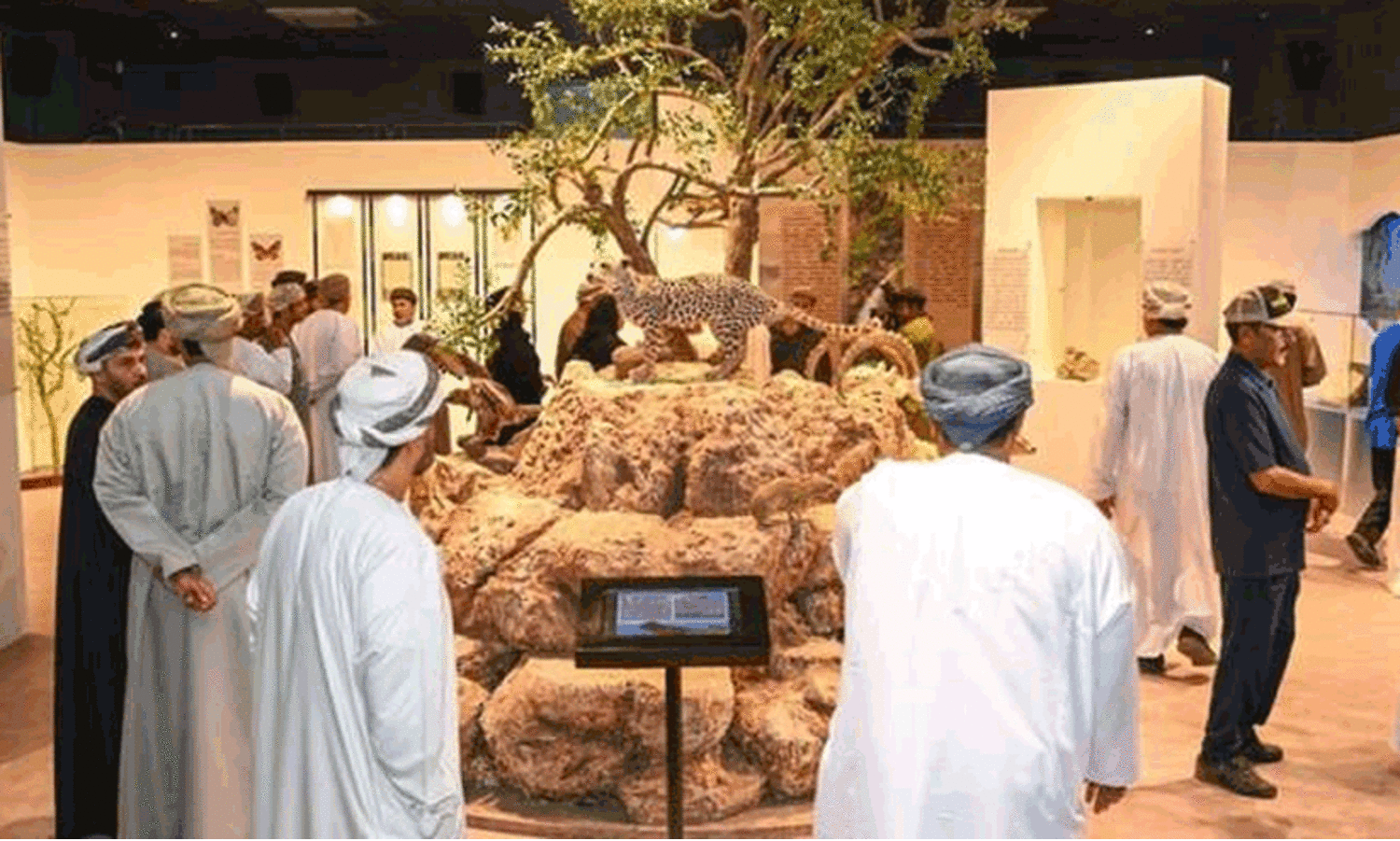 ദോഫാറിന്റ പ്രകൃതിയിലേക്ക് വാതിൽ തുറന്ന് പ്രദർശനം