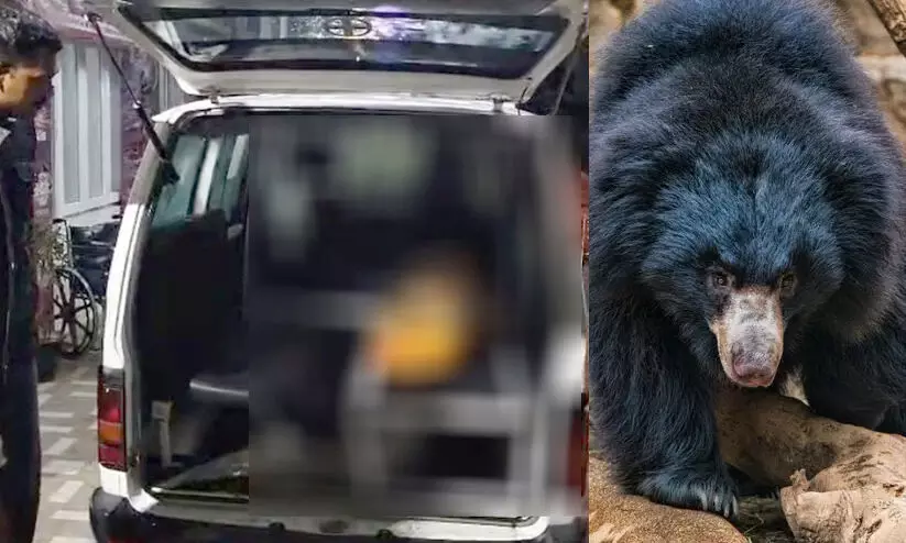 വാൽപ്പാറയിൽ എട്ടുവയസ്സുകാരനെ കൊന്നത് കടുവയല്ല, കരടി; മുഖത്തിന്‍റെ ഒരു ഭാഗമടക്കം കടിച്ചെടുത്തു