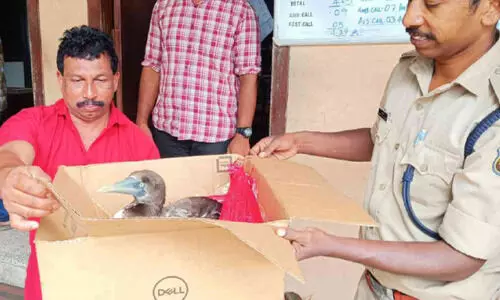 വലയില് കുടുങ്ങിയ ദേശാടന പക്ഷിയെ രക്ഷപ്പെടുത്തി വലയില് കുടുങ്ങിയ ദേശാടന പക്ഷിയെ രക്ഷപ്പെടുത്തി