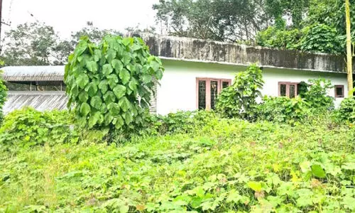 കാടുകയറി വനിത തൊഴിൽ പരിശീലന കേന്ദ്രം