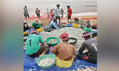 ചവിട്ടുവലക്കാർ വലയെറിഞ്ഞു; മീനുണ്ട്, വിലയില്ല