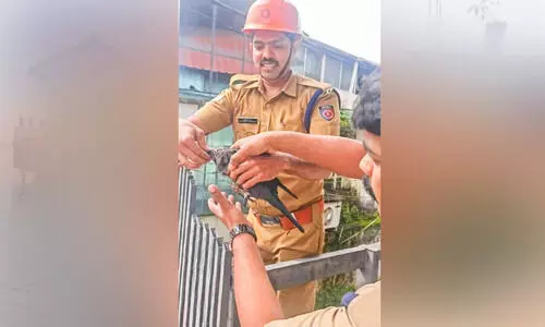 പരസ്യ ബോർഡിൽ കുരുങ്ങിയ കാക്കയെ രക്ഷപ്പെടുത്തി പരസ്യ ബോർഡിൽ കുരുങ്ങിയ കാക്കയെ രക്ഷപ്പെടുത്തി