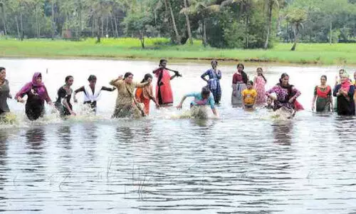 പാട്ടും കളിയുമായി കുട്ടനാടി വയലിൽ മഴയുത്സവം